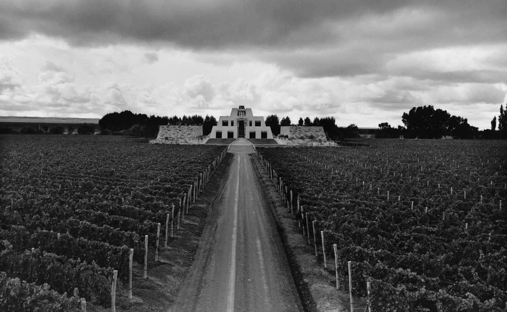 How to Buy Catena Zapata Wines Online