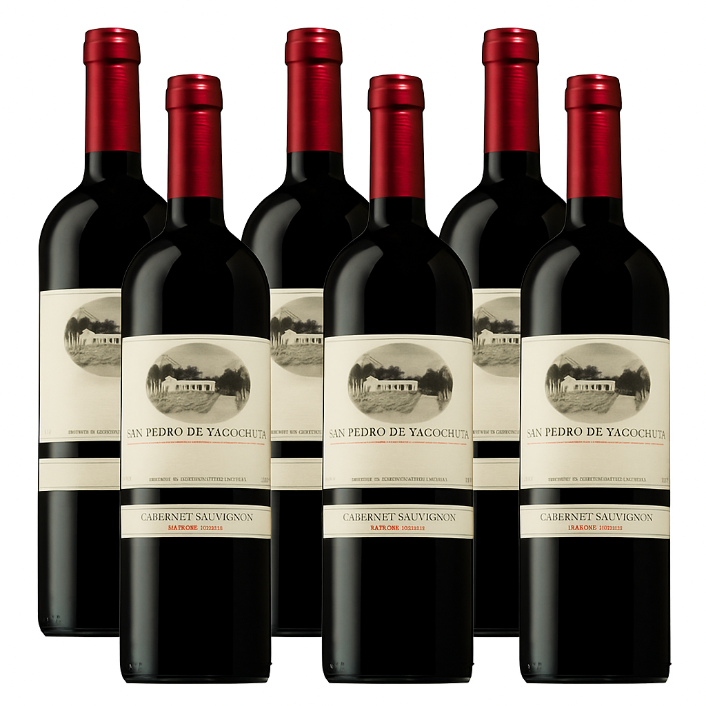 San Pedro de Yacochuya Cabernet Sauvignon 750ml (6 Bottles) – Cabernet Sauvignon – Red Wine – from Salta – Mosto Wine Store