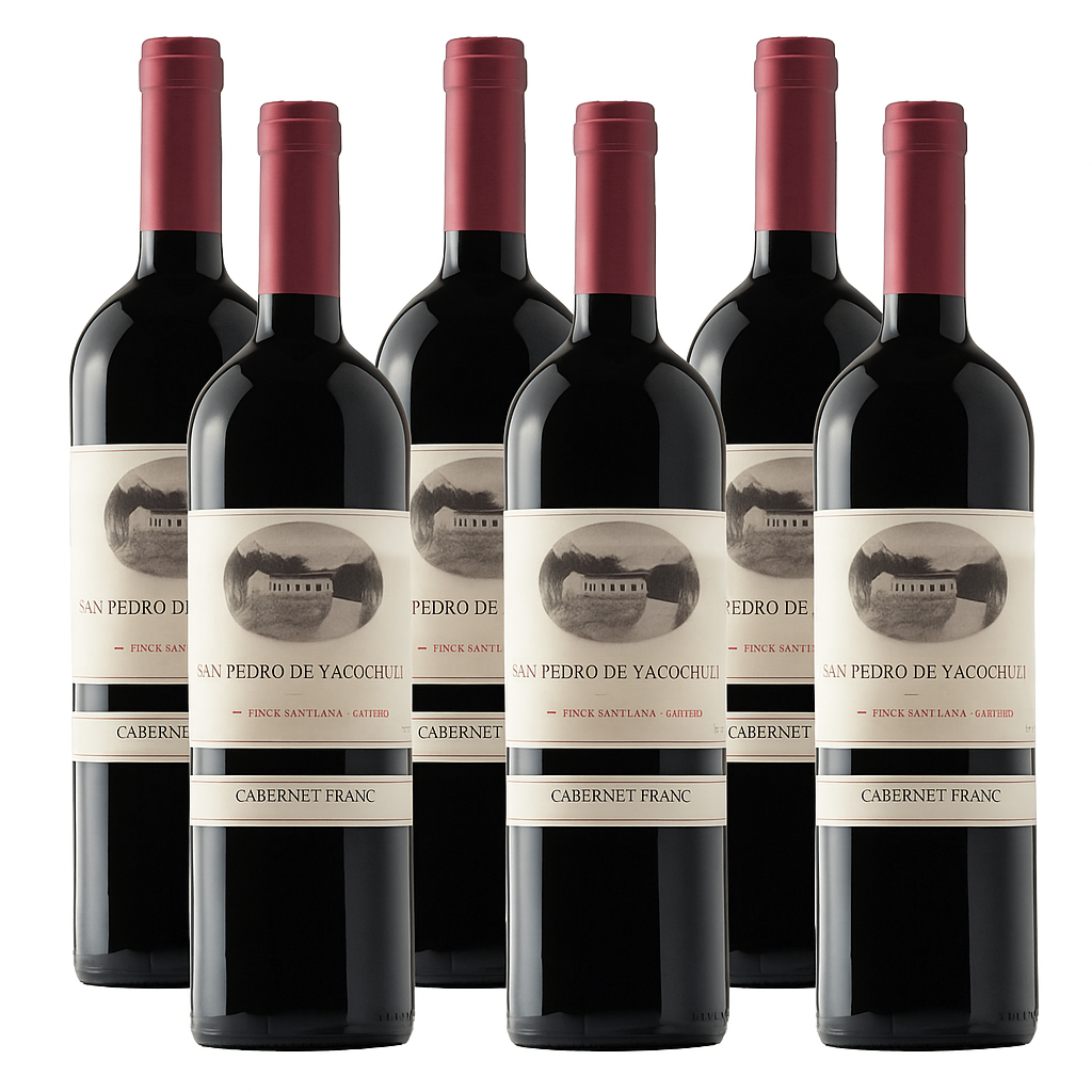 San Pedro de Yacochuya Cabernet Franc 750ml (6 Bottles) – Cabernet Franc – Red Wine – from Salta – Mosto Wine Store