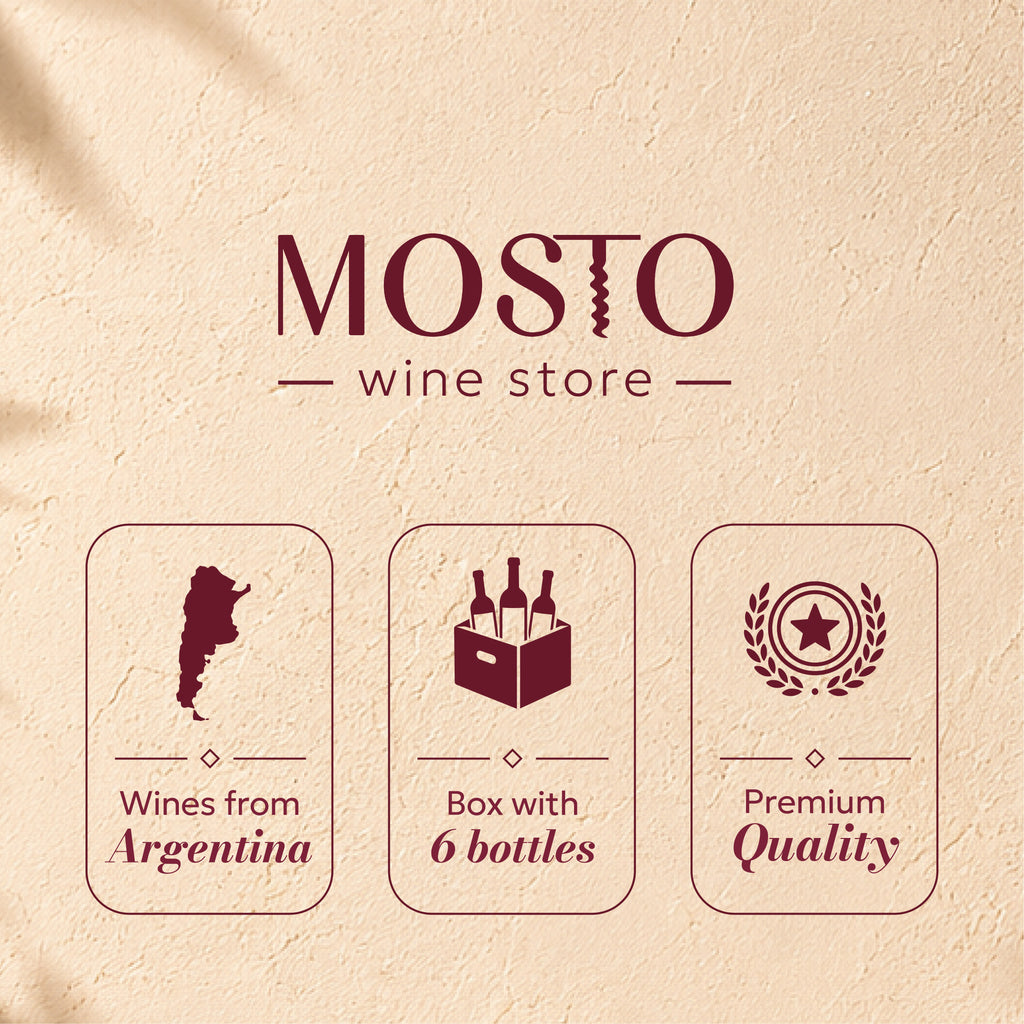 Argentina Icon Malbec Wine Box | Argentina’s Most Iconic Malbec Collection