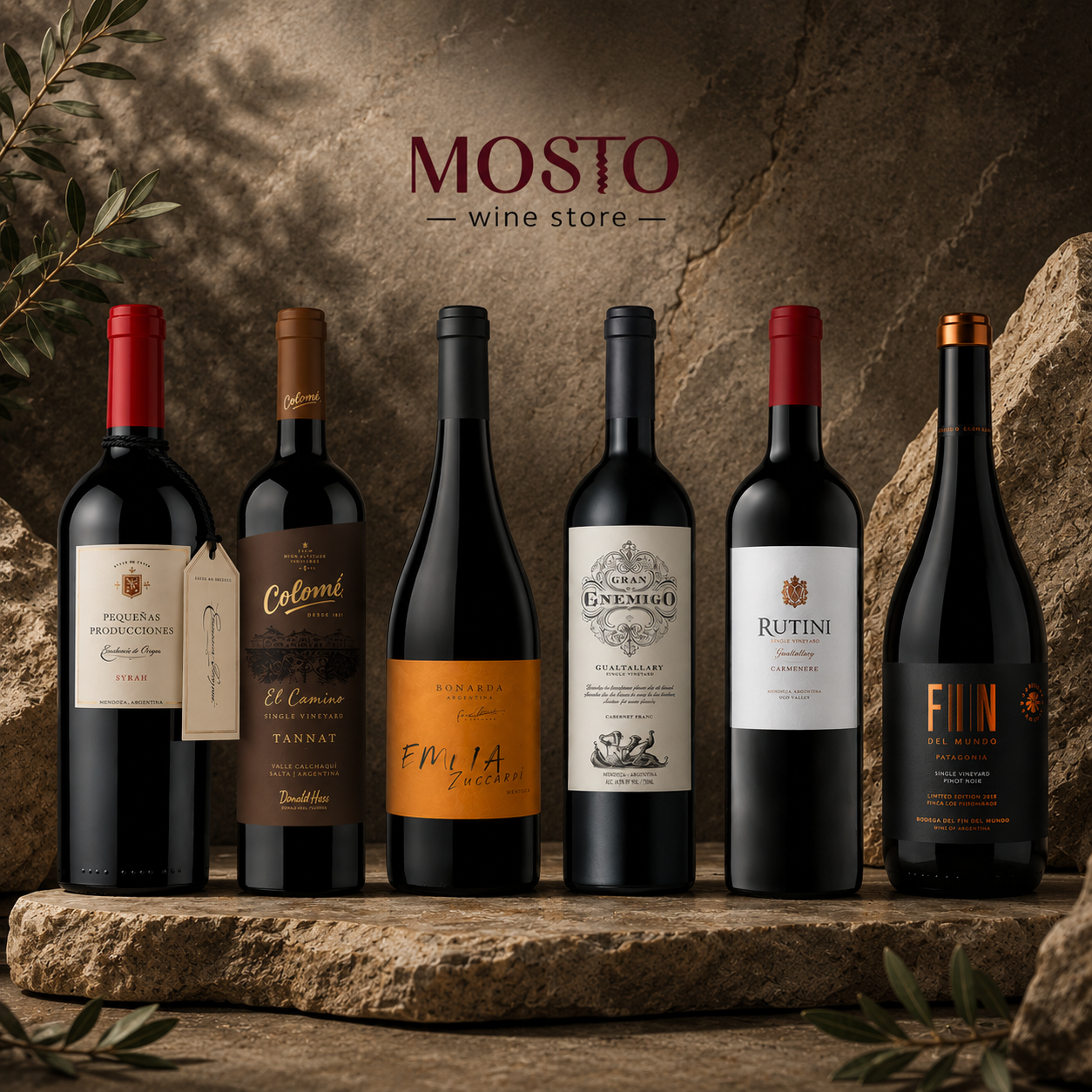 Beyond Malbec: The Hidden Varietals | Premium Argentine Wine Discovery Box