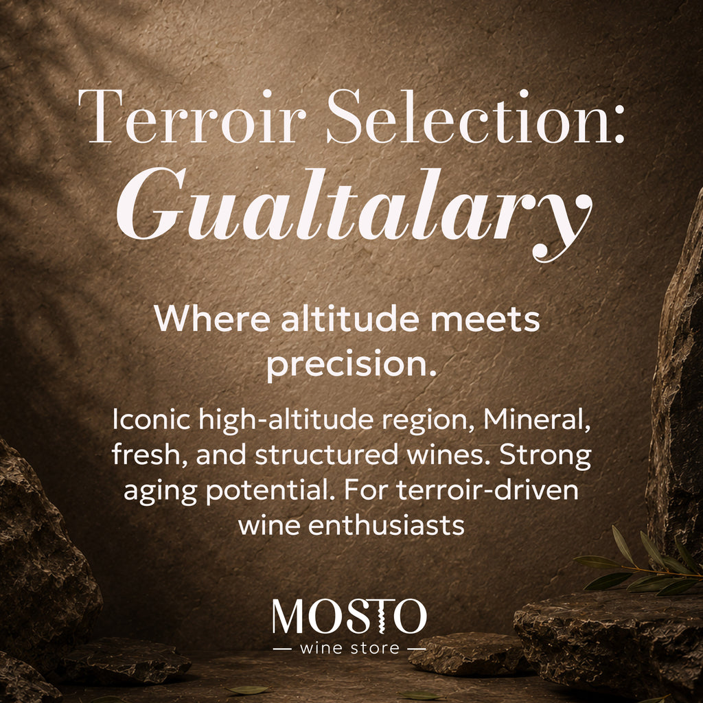 Beyond Malbec: The Hidden Varietals | Premium Argentine Wine Discovery Box
