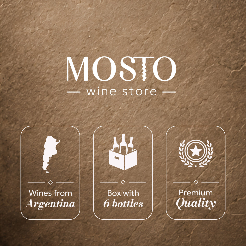 Beyond Malbec: The Hidden Varietals | Premium Argentine Wine Discovery Box