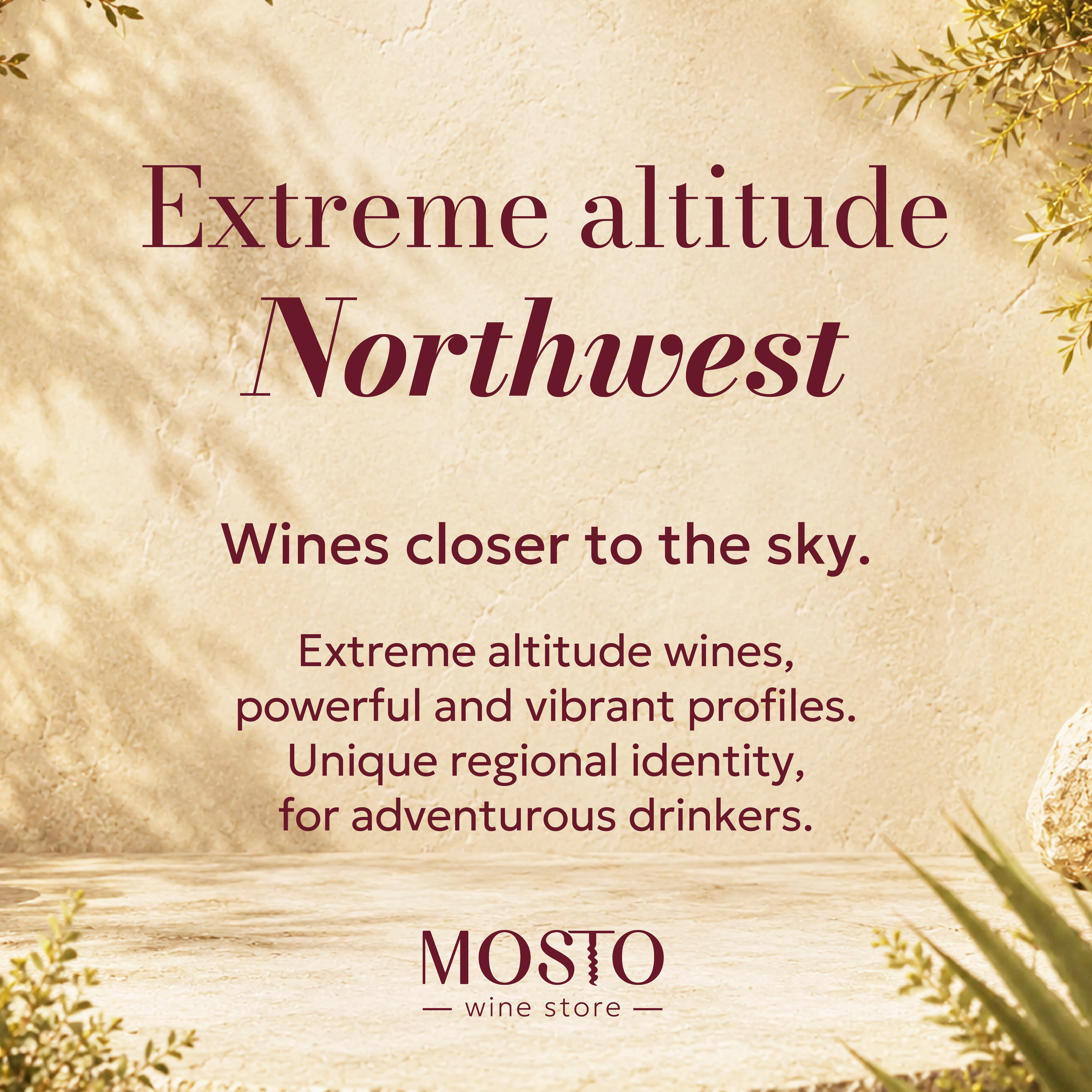 Extreme Altitude NOA | Curated Argentine Wine Box
