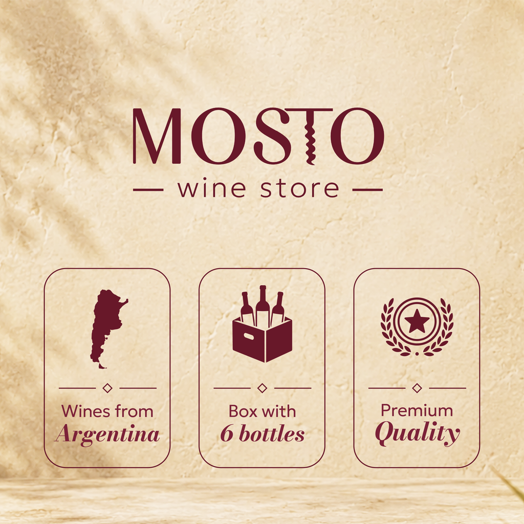 Extreme Altitude NOA | Curated Argentine Wine Box