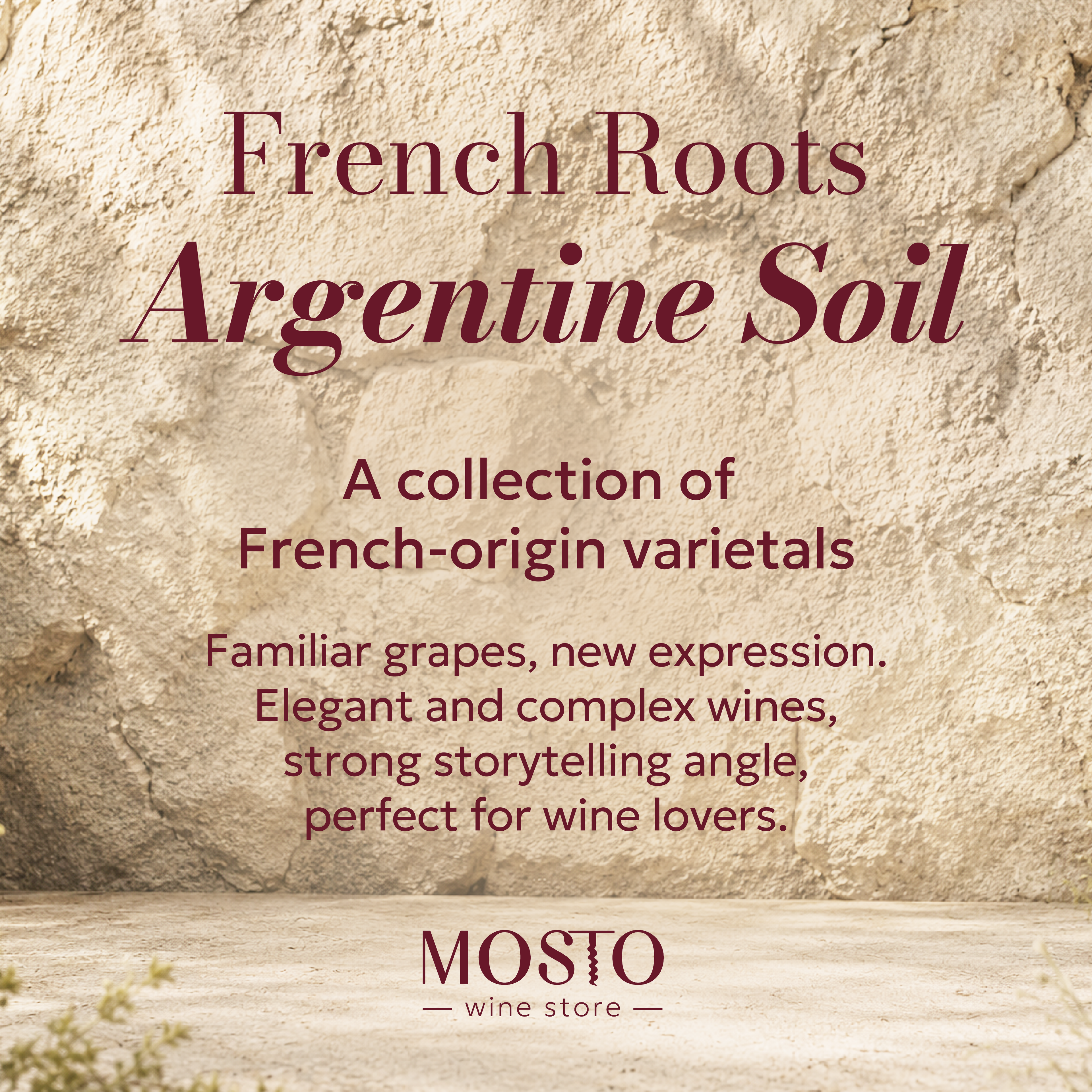 French Roots, Argentine Soil | Curated Argentine Cabernet Franc & Pinot Noir Wine Box