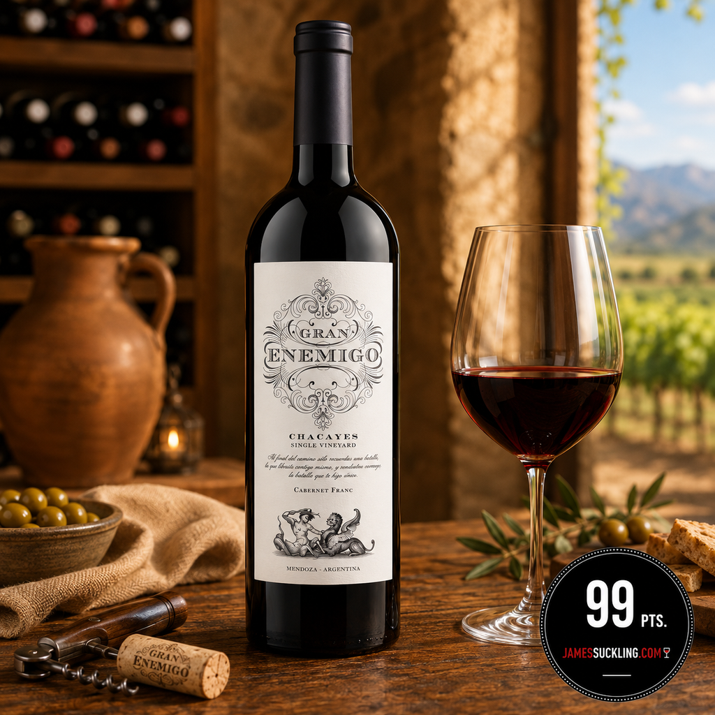 Gran Enemigo Chacayes Cabernet Franc Red Wine | 6 Bottles