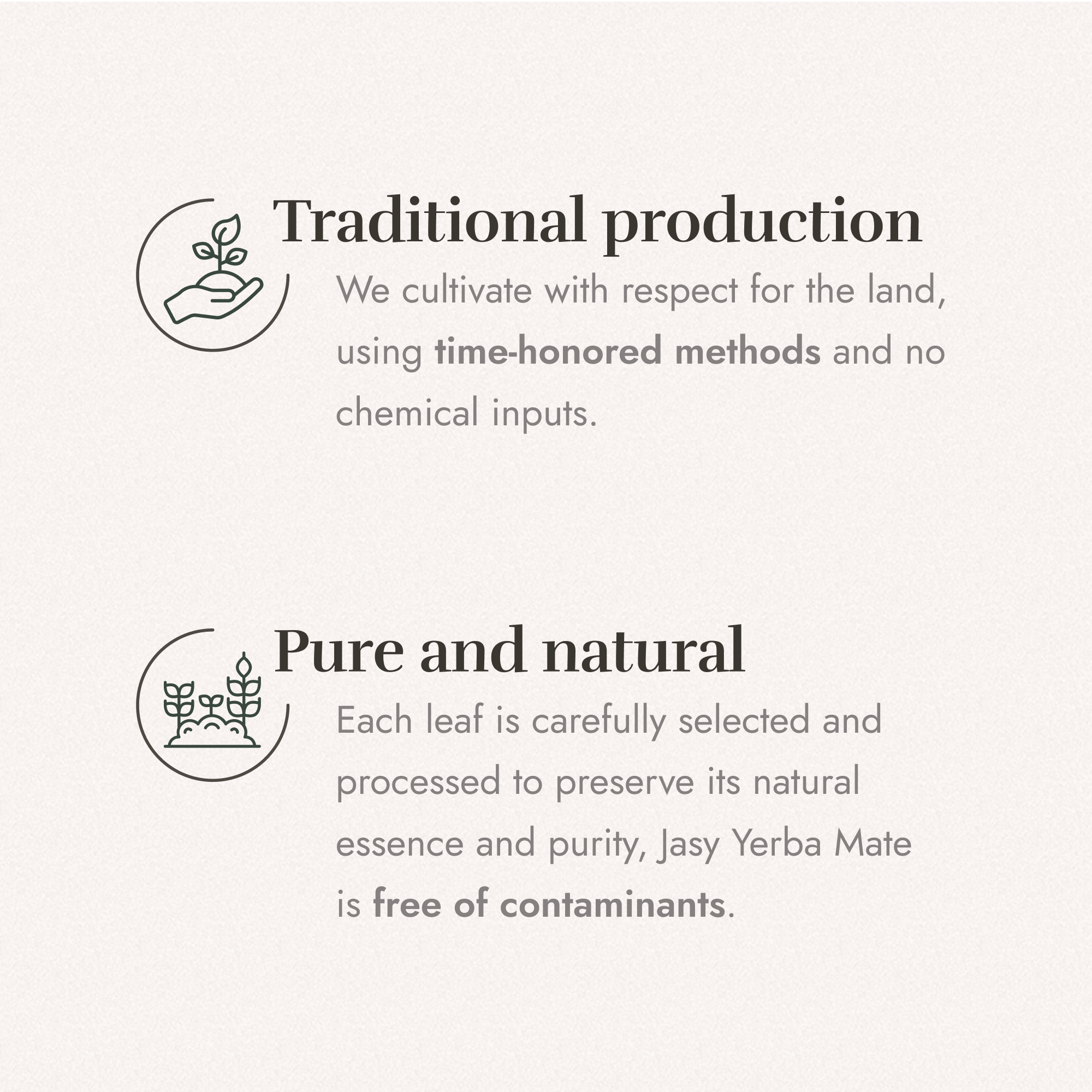 JASY Yerba Mate Tea – Agroecological, 24-Month Aged, Unsmoked 1kg (2.2lb)