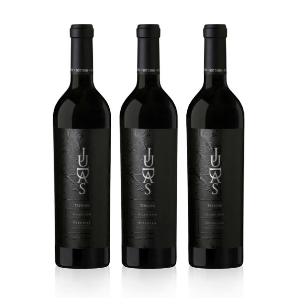 La Biblia de Judas Tomo 1 | Judas Terroir (Perdriel, Altamira y Los Chacayes)  | 3-Bottle Case