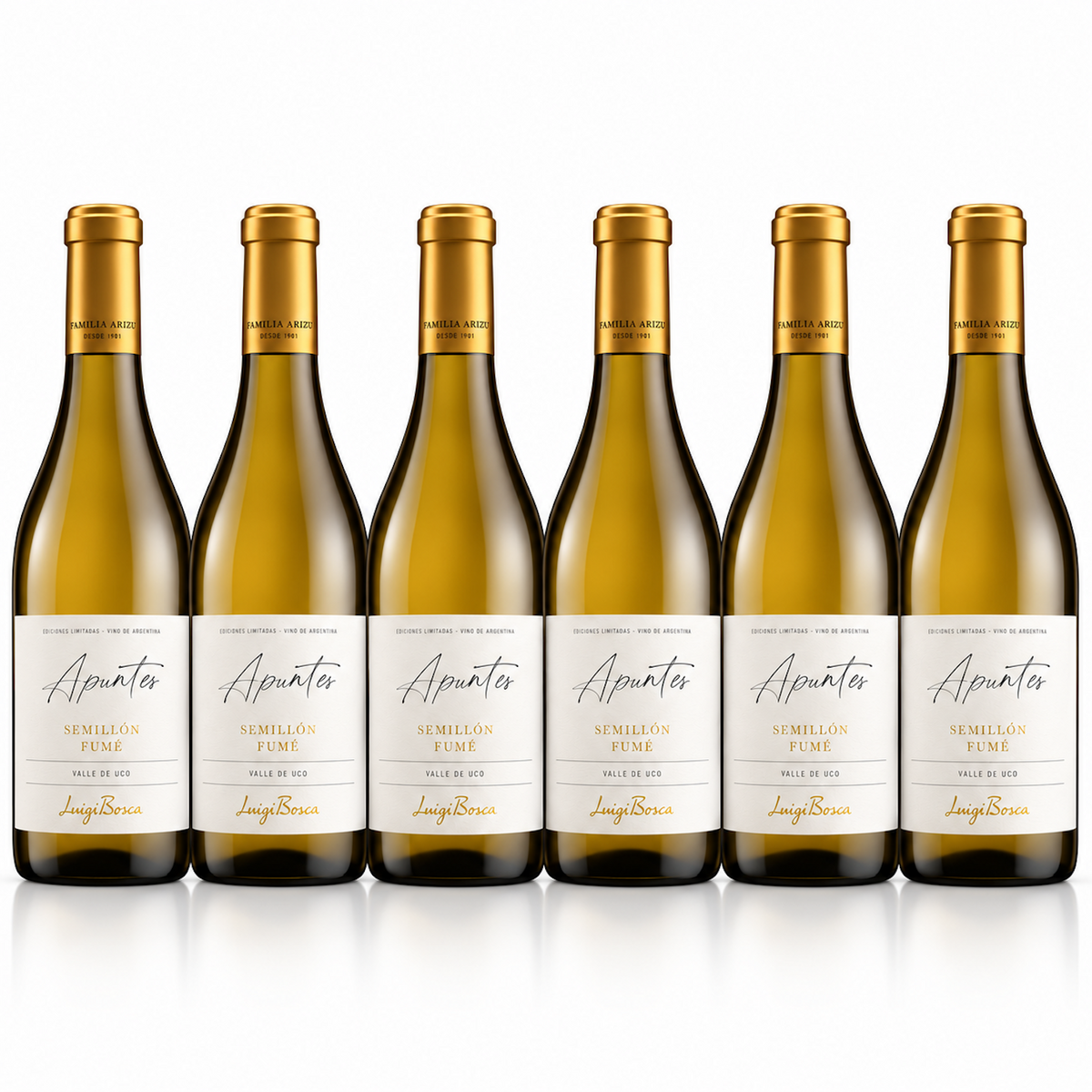 Luigi Bosca Apuntes Semillón Fumé White Wine | 6 Bottles