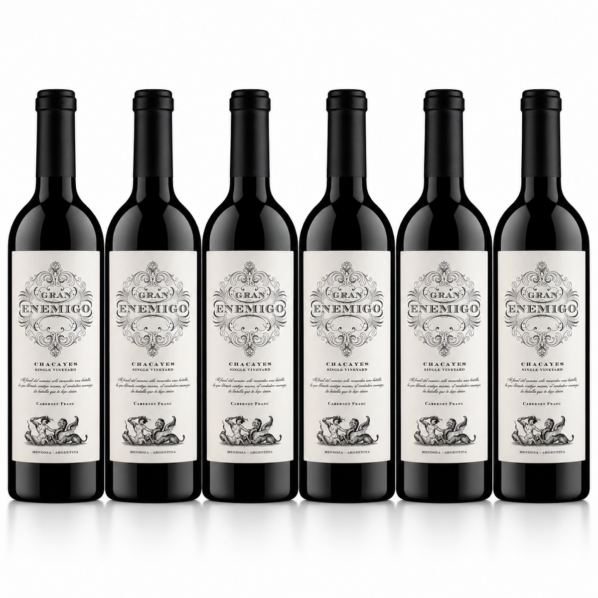 Gran Enemigo Chacayes Cabernet Franc Red Wine | 6 Bottles
