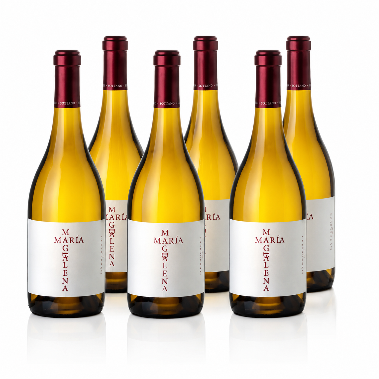 María Magdalena Chardonnay | Gualtallary | 93 pts | Case x6