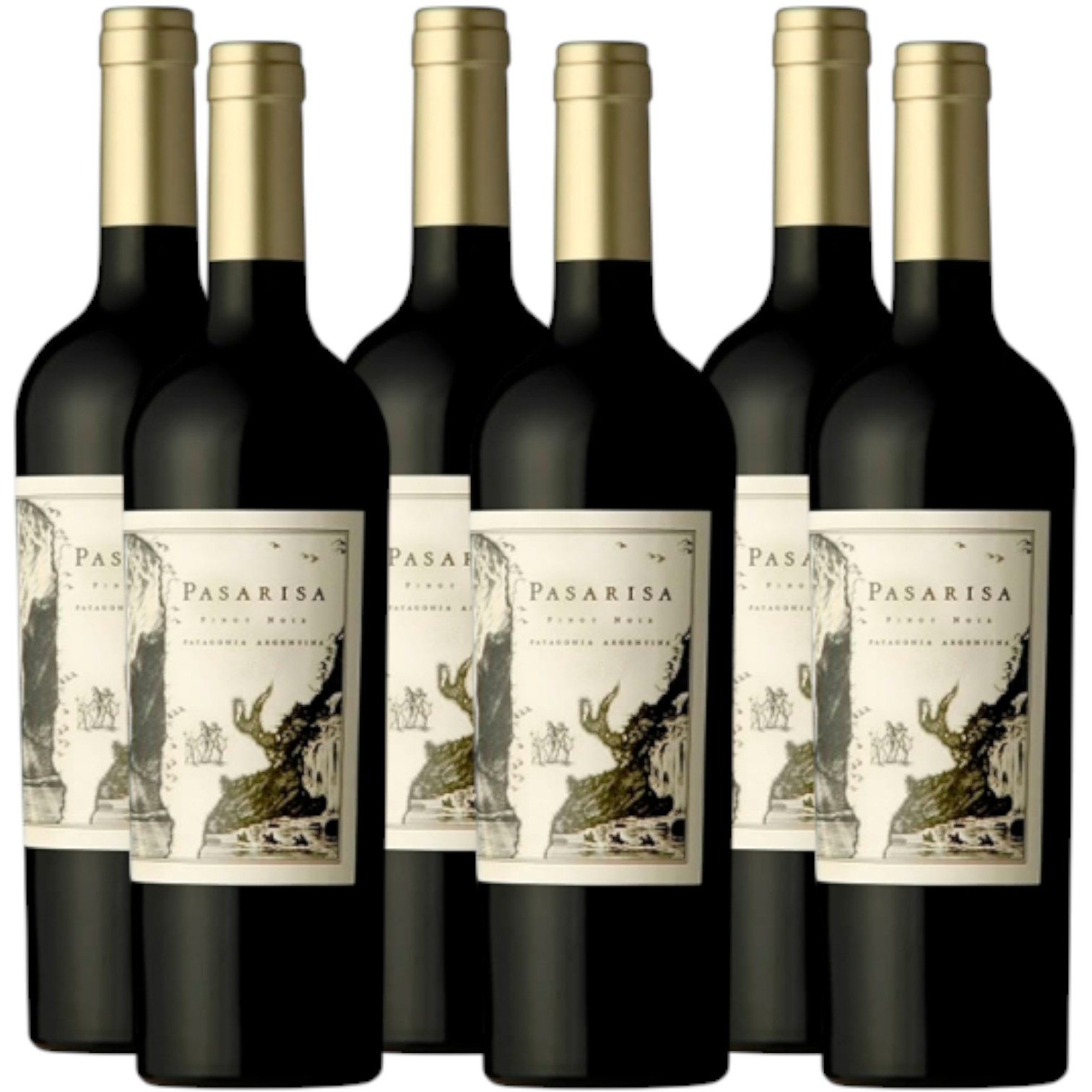 Pasarisa Patagonian Pinot Noir 750ml (6 Bottles)