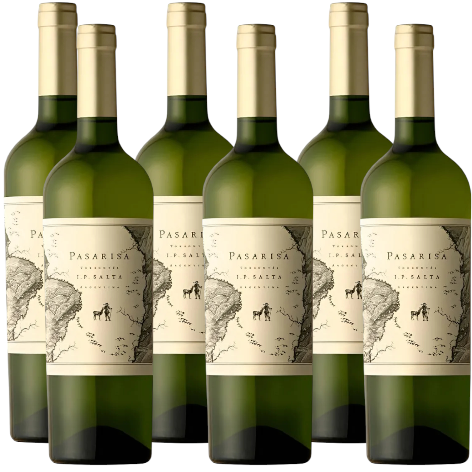 Pasarisa Torrontés from Salta 750ml (6 Bottles)