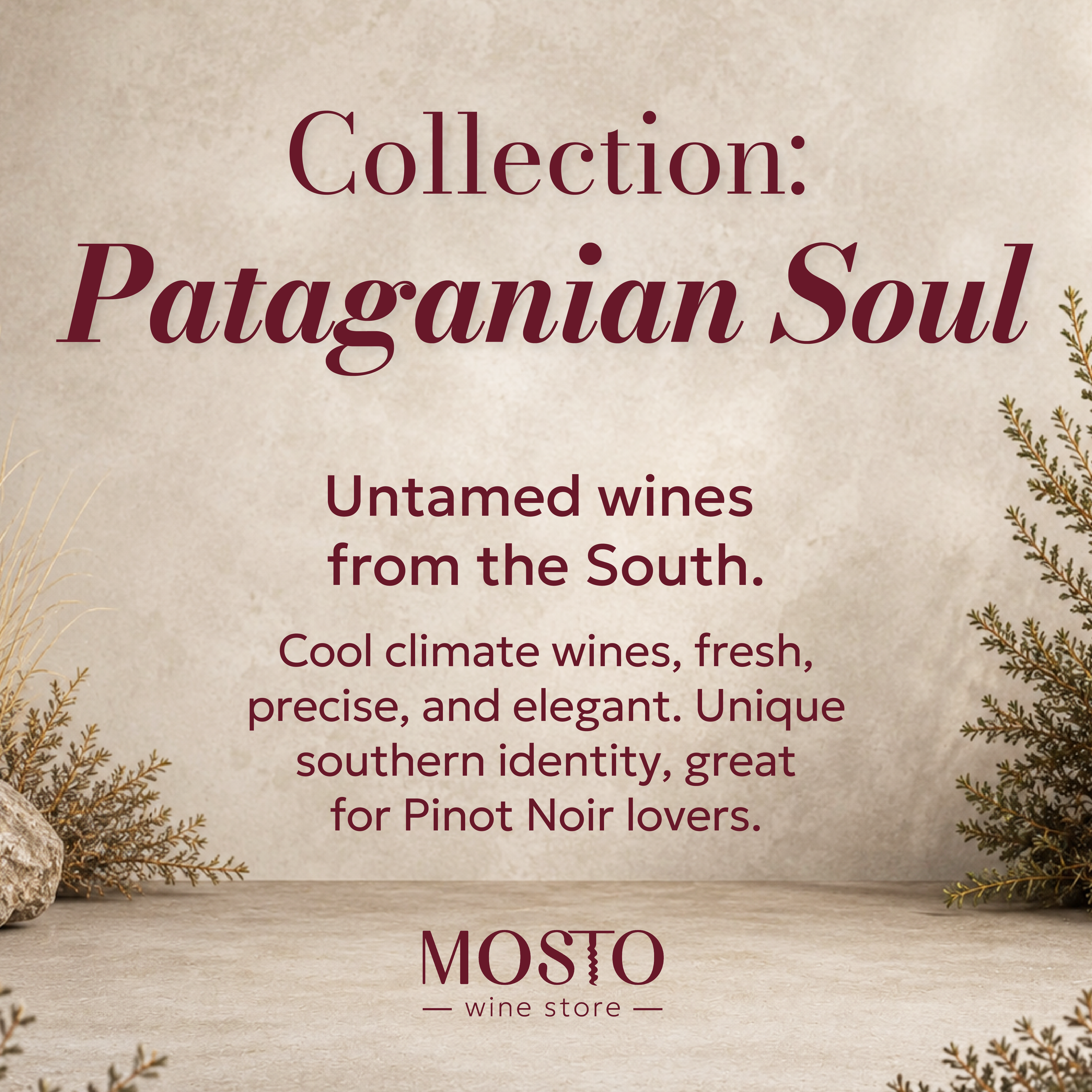 Patagonian Souls | Curated Argentine Patagonia Wine Box