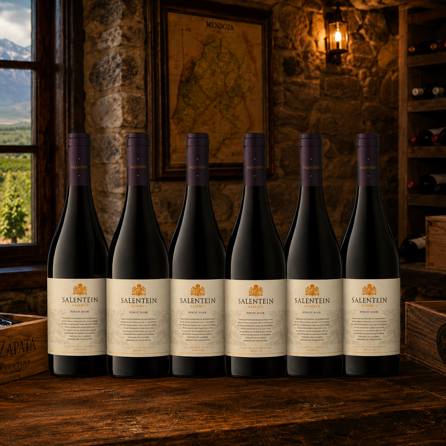 Salentein Reserve Pinot Noir Red Wine 750ml | 6 Bottles