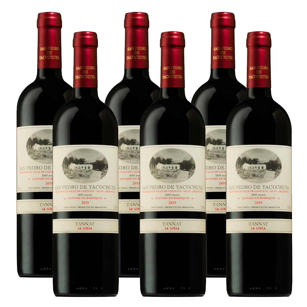 San Pedro de Yacochuya Tannat 750ml (6 Bottles) – Tannat – Red Wine – from Salta – Mosto Wine Store