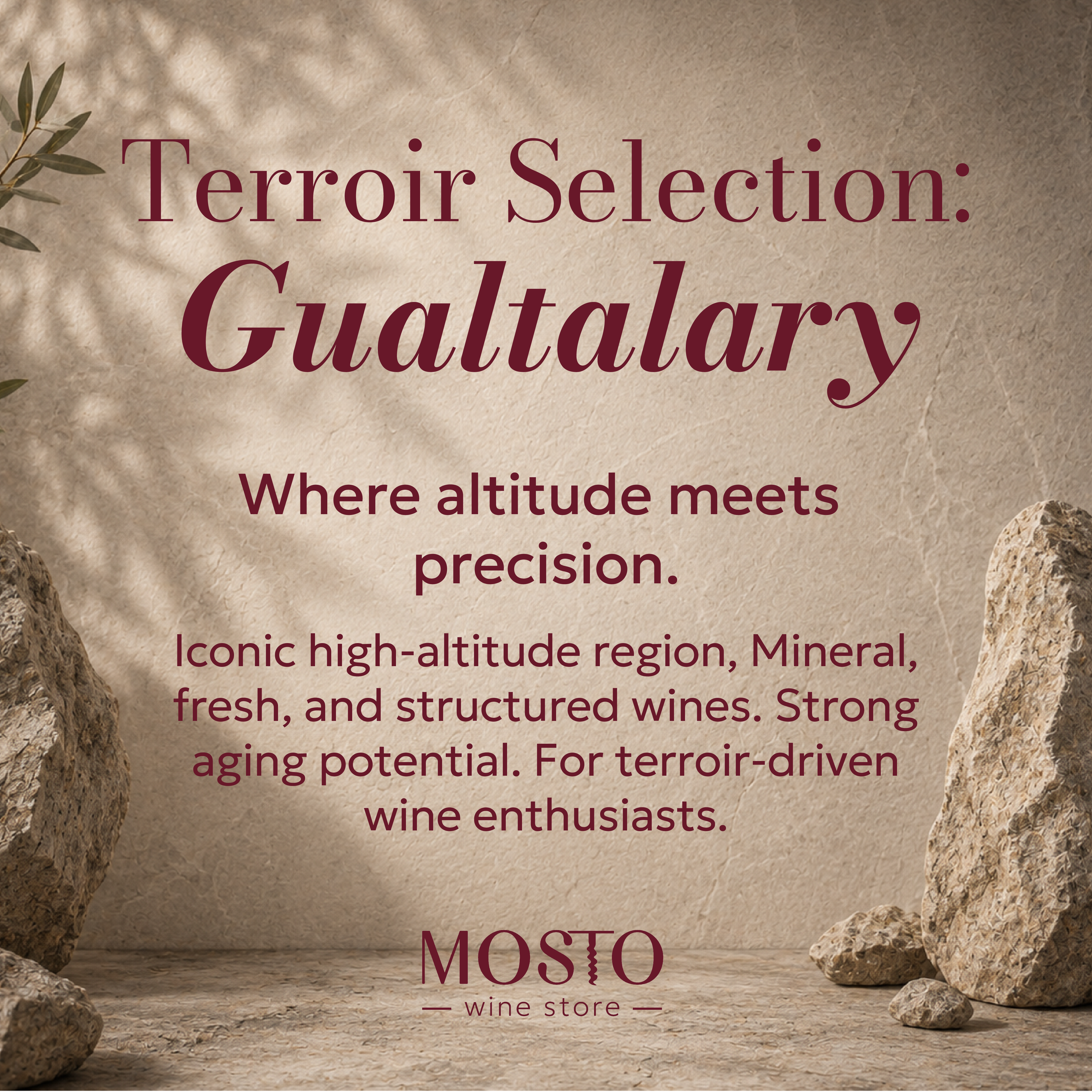 Terroir Selection: Gualtallary | Premium Argentine Wine Collection