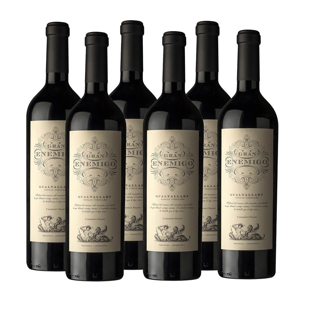 Gran Enemigo Gualtallary Cabernet Franc | Premium Argentine Wine 750ml (6 Bottles)