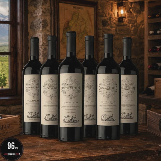 Gran Enemigo Gualtallary Cabernet Franc | Premium Argentine Wine 750ml (6 Bottles)