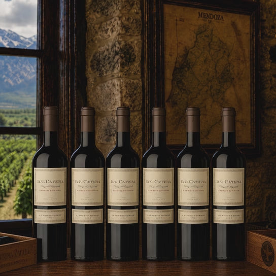D.V. Catena Pirámide Cabernet Sauvignon 750ml (6 Bottles) | Catena Zapata Mendoza Red Wine