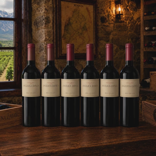 Angélica Zapata Alta Cabernet Franc 750ml | Premium Argentine Red Wine