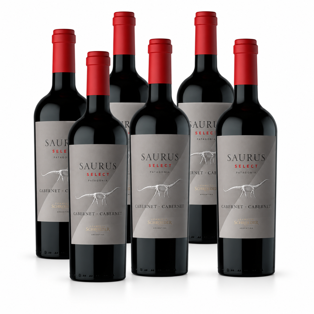 Six bottles of Saurus Select Cabernet Blend 750ml